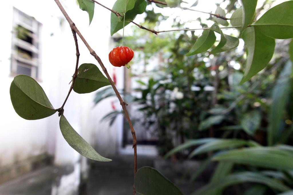 Casa Em Meio A Natureza - Ideal Para Casal Bed & Breakfast Rio de Janeiro Bagian luar foto